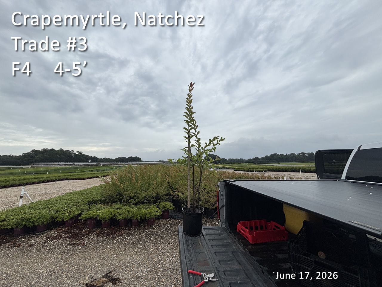 gallery/cnz3t f4 jun17.jpg